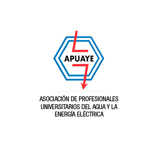 APUAYE - Asociación de Profesionales Universitarios del Agua y la Energía Eléctrica - Cliente dynamicIce